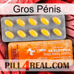 Gros Pénis new05